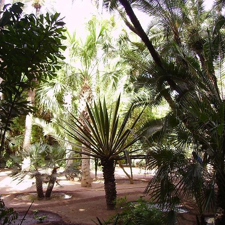 Appart Avec Vue Jardin/Majorelle Марракеш Экстерьер фото