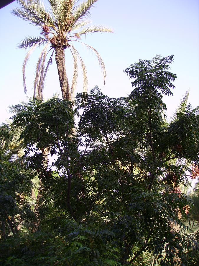 Appart Avec Vue Jardin/Majorelle Марракеш Экстерьер фото