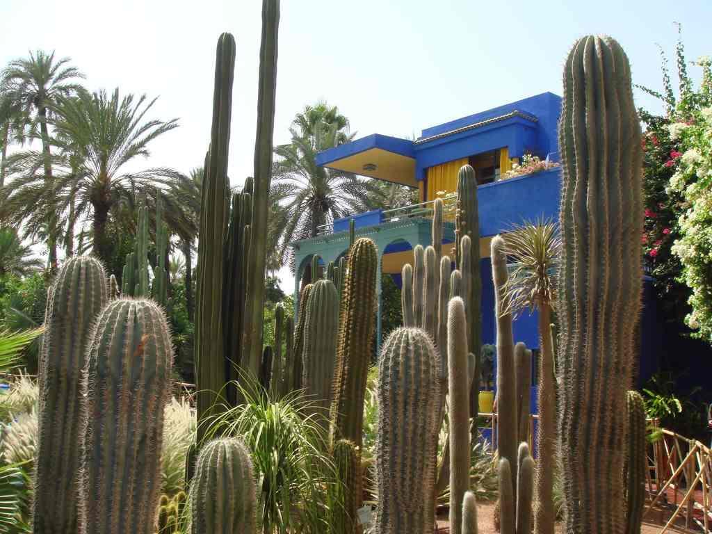 Appart Avec Vue Jardin/Majorelle Марракеш Экстерьер фото