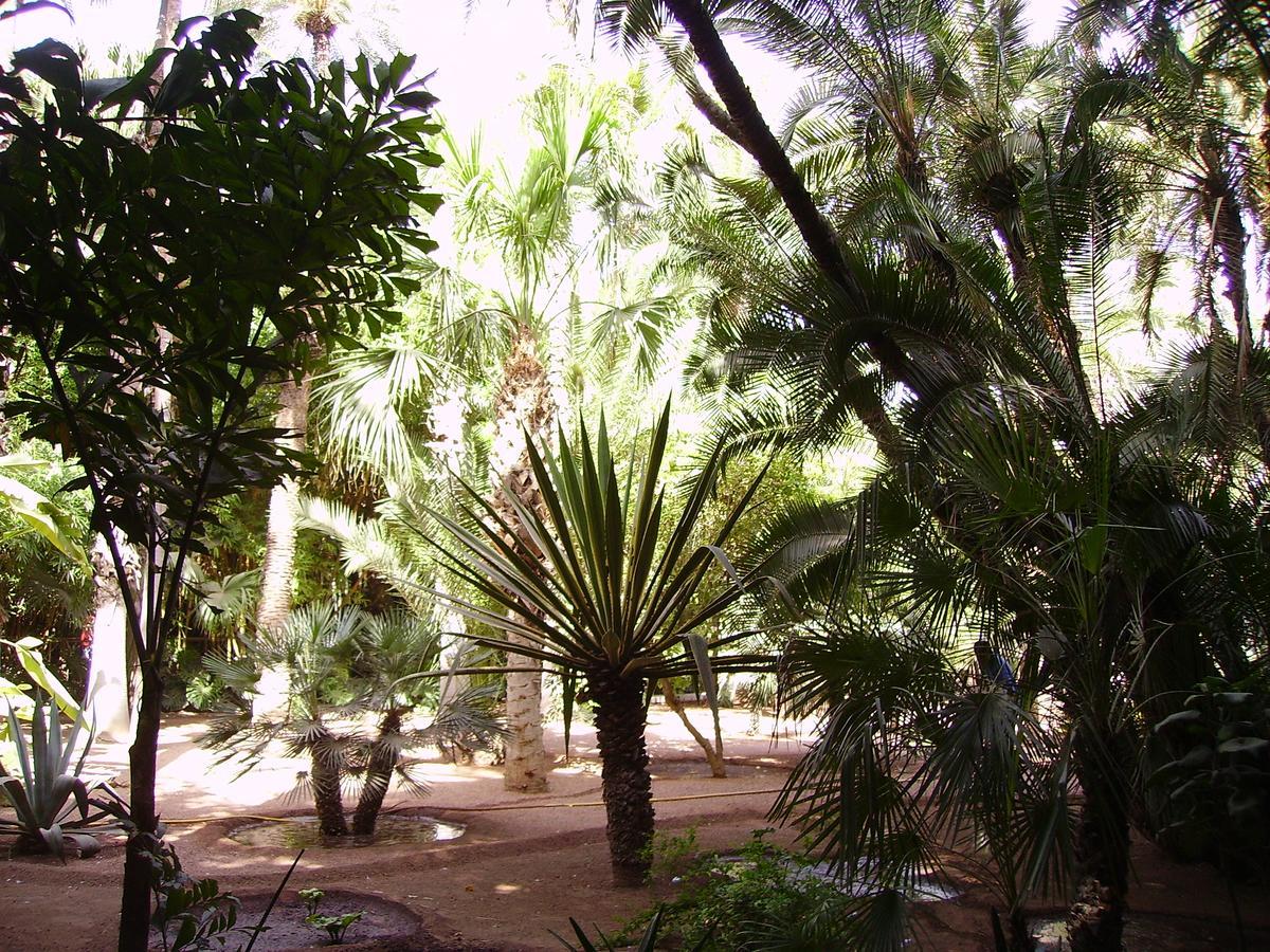Appart Avec Vue Jardin/Majorelle Марракеш Экстерьер фото